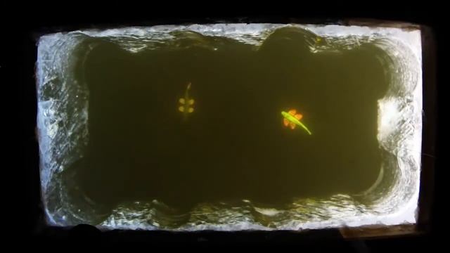 Как словить щуку - используем Трезубец смотреть онлайн