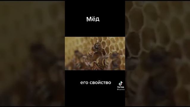 Как мёд может быть полезны смотреть онлайн