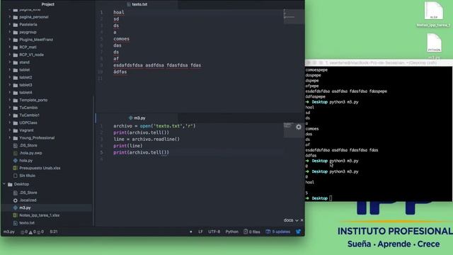 IPP M3, Python Lectura de Archivos смотреть онлайн