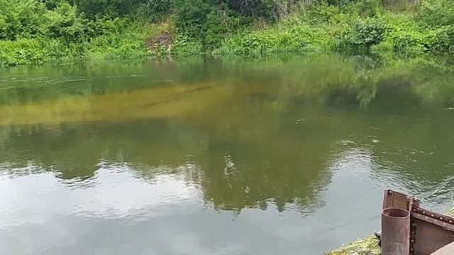 Река Медведица. Сплав. Рыбалка. Отдых. Аткарск - Лысые Горы. (2 часть) смотреть онлайн