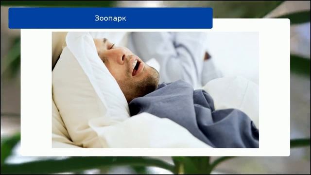 Зоопарк смотреть онлайн