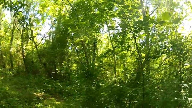 [28]Airsoft - Forest CTF - My little Victim смотреть онлайн