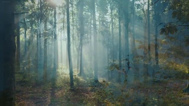 Beautiful Celtic Music • Relaxing Fantasy Music for Relaxation & Meditation, Peaceful Music смотреть онлайн