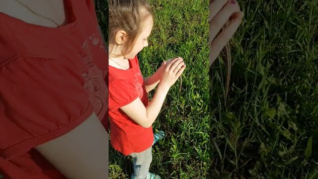 Ящерка 5 смотреть онлайн