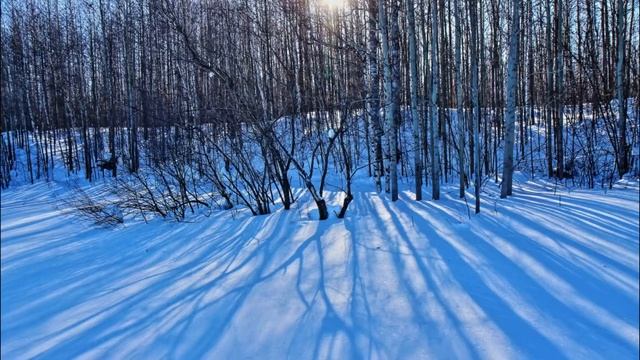 Стихотворение ФЕВРАЛЬ/ Автор Поликсена Соловьева смотреть онлайн