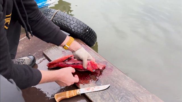 Папа-сын 2023. Камчатка смотреть онлайн