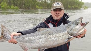 Король среди лососей! Рыбалка на чавычу на Камчатке! King salmon fishing