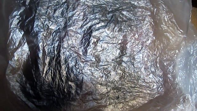 Мимоза стыдливая из семян.Mimosa bashful of seeds смотреть онлайн