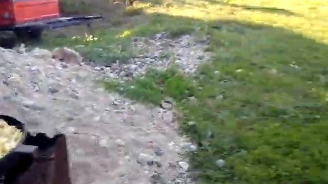 картошка жареная на костре смотреть онлайн