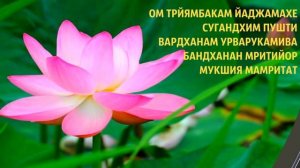 Мантра Высшего счастья. «ОМ ТРЙЯМБАКАМ ЙАДЖАМАХЕ СУГАНДХИМ ПУШТИ ВАРДХАНАМ....