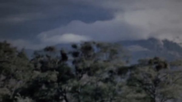 шоу монахов шаолиня (Shaolin Monks Show)