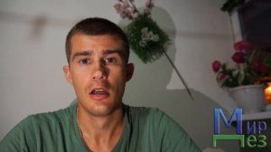 Кто, как, кого? Муравьи с крыльями.