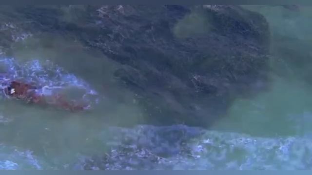 СИЛЫ НЕБЕСНЫЕ УЖЕ ДВИНУЛИСЬ НА ПОМОЩЬ И ВРАГ БУДЕТ СОКРУШЕН.. ЧУДОТВОРЕЦ АЛЕКСИЙ БОРТСУРМАНСКИЙ смотреть онлайн