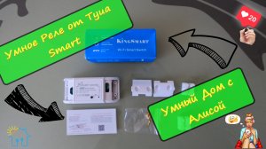 Умное реле Алиса голосовое управление светом умный дом с яндекс