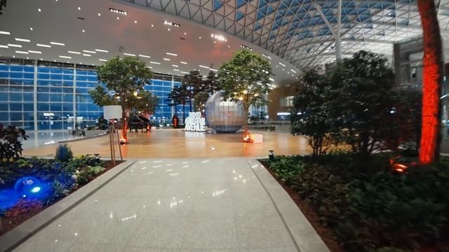 ИНДИЯ Чудеса Аэропорта Incheon. Корейская еда очень ОСТРО Южная Корея. смотреть онлайн