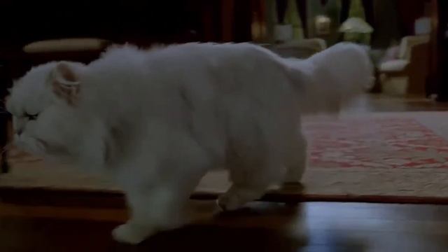 Stuart Little 2 funny scene in Hindi - 2 смотреть онлайн