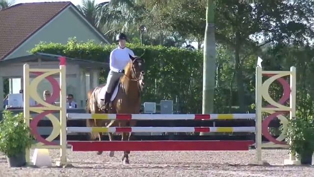 WEF low children's jumpers смотреть онлайн