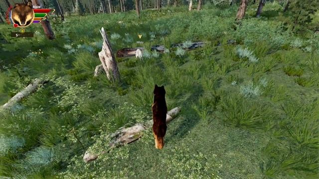 Return of a Vengeful Bear?? | WolfQuest: Inferno Pack Litter 2 #7 смотреть онлайн