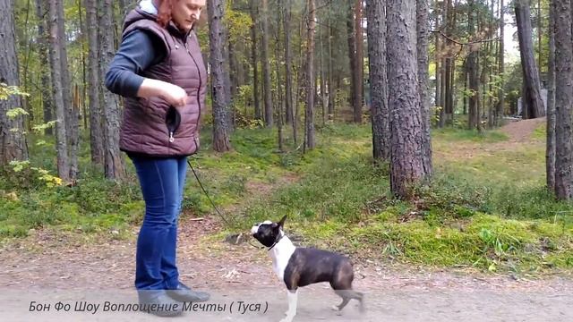 Бон Фо Шоу Воплощение Мечты ( Туся ) маленький мой юниор