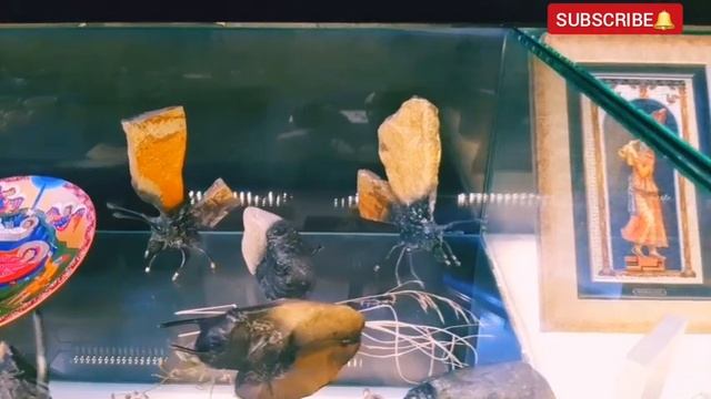 ARMENIA| Մատենադարան ~ Matenadaran #armenia #армения #новости #чтопосмотреть