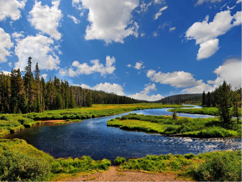 330.Трофеи 112.mp4 смотреть онлайн