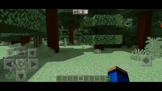 ? ТОПОВЫЕ ШЕЙДЕРЫ ДЛЯ МАЙНКРАФТ ПЕ 1.17 ? смотреть онлайн