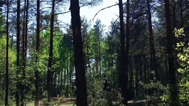 Конный дистанционыый пробег Молодечно, 40 и 80 км. 2018г смотреть онлайн