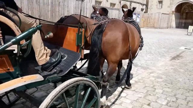 ФРАНЦИЯ 2019 / ФОНТЕНБЛО. БАРБИЗОН смотреть онлайн