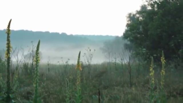 ЗИМА. ст. Геннадия Шпаликова, исп. Александр Усенков.mpg смотреть онлайн