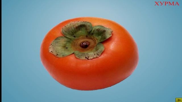 Презентация "Фрукты" смотреть онлайн