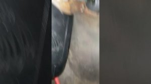 не включается скорость на Камри решение проблем #camry #windom