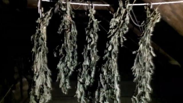 Дом и Энергия