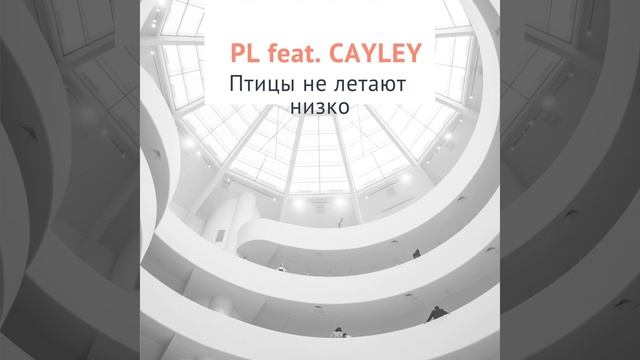 Птицы не летают низко смотреть онлайн