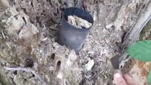 Заправка дымаря. Чем заправить дымарь.