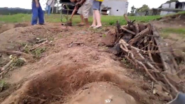 carreguei terra e tombei смотреть онлайн