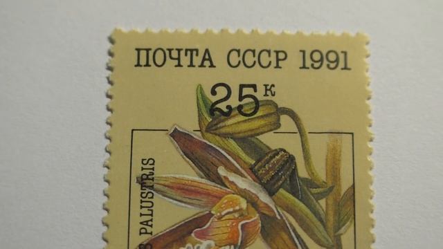 Почтовая марка. Почта СССР. 1991 г. Дремлик болотный смотреть онлайн