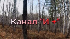 Охота на косулю. Лучшие кадры.