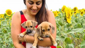 Это Бесполезно