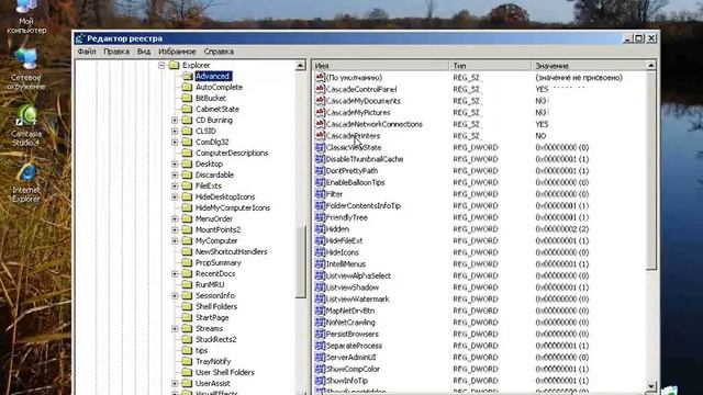 Отображать скрытые файлы и папки.flv