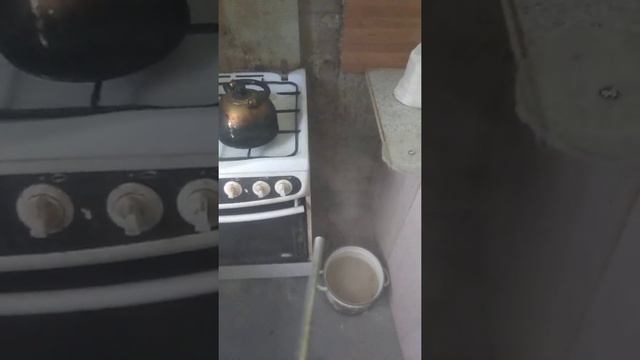 дуст и тараканы смотреть онлайн