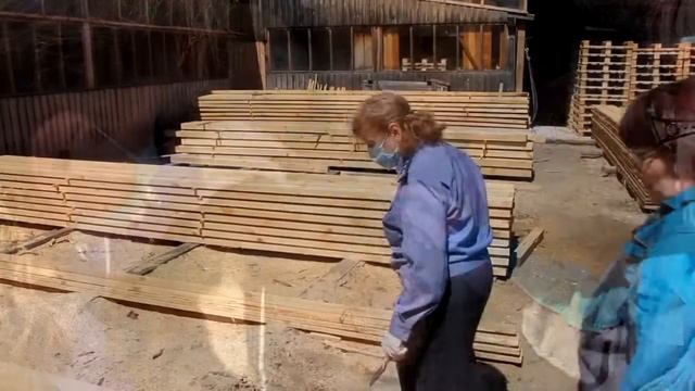 Россельхознадзор по Владимирской области провел мониторинг на выявление карантинных вредителей леса смотреть онлайн