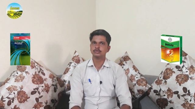 Acrobat Vs Melody Duo/Basf Acrobat Complete Fungicide/downy Mildew