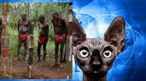 УкраинО - цэ АфриканО / Кот Костян