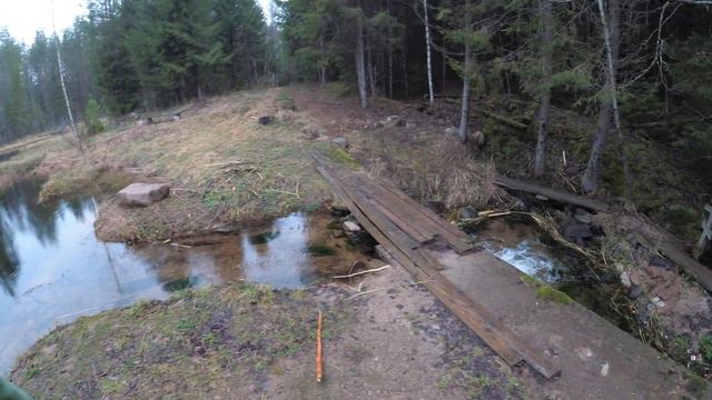 Родник, святой источник иеромонаха Мардария 04.01.2020 смотреть онлайн