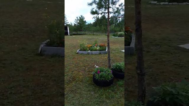 Дача смотреть онлайн