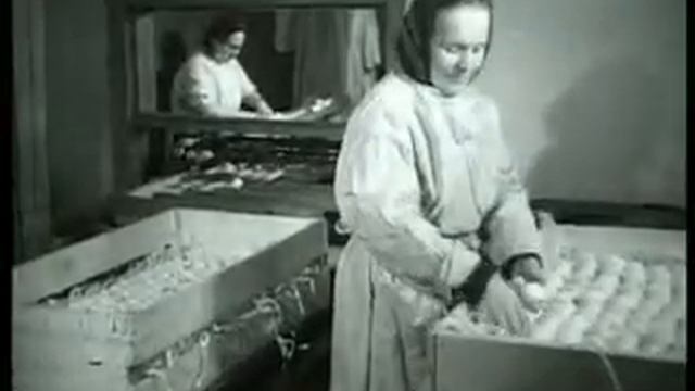 птицефабрики смотреть онлайн