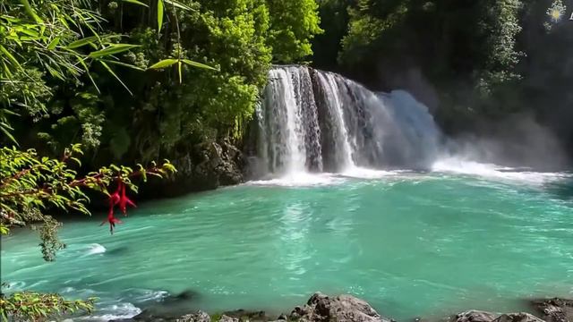 Красивое чтение Корана Мишарри Рашид (Mishari Rashid Quran) - Релакс (Relax) смотреть онлайн