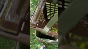 Корзина - рюкзак грибника с 2-мя корзинами для грибов и туризма Acropolis ( 40л.)