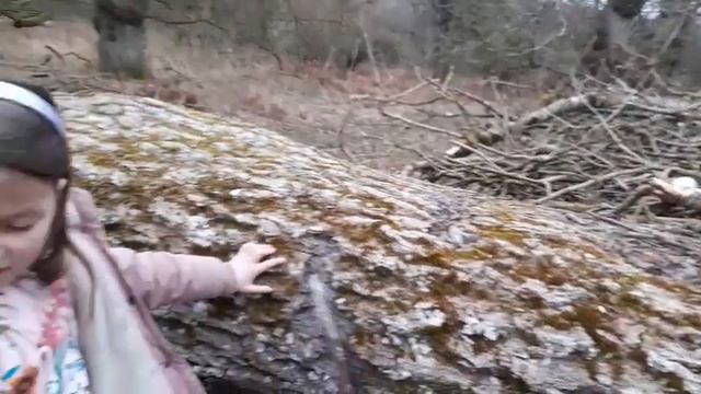 I was touched on the leg whilst doing the Estes Method #ghosts #paranormal #haunted смотреть онлайн