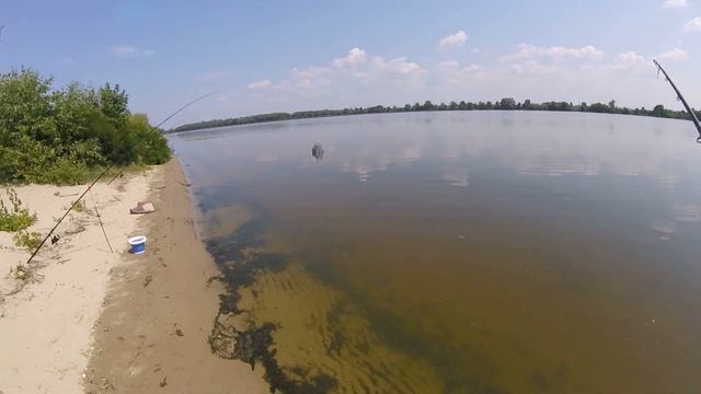 Ловля судака донками на живца летом/Отличный улов/Видеоотчет июль смотреть онлайн